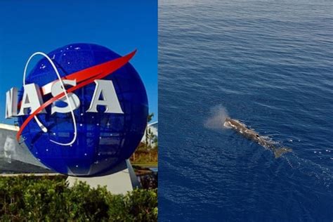 Nasa Started With Exploring The Oceans Instead Of Space Truth Behind