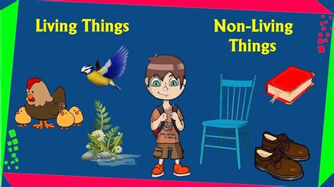 Living Things And Nonliving Things Living And Non Liv Vrogue Co