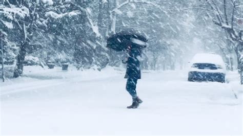 Another Winter Storm Forecast For Bc With Wind Snow And Rain