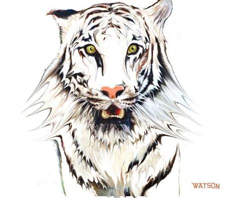 Beautiful White Tigers Illustration Wall Art Fine Art America White