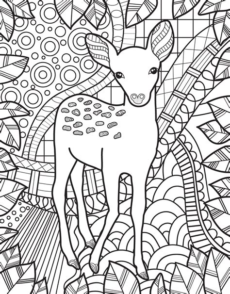 More 100 images of different animals for children's creativity. Zendoodle Coloring: Baby Animals | Jeanette Wummel | Macmillan