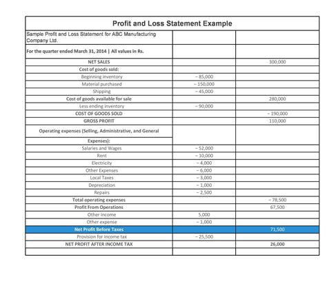 35 Profit And Loss Statement Templates And Forms