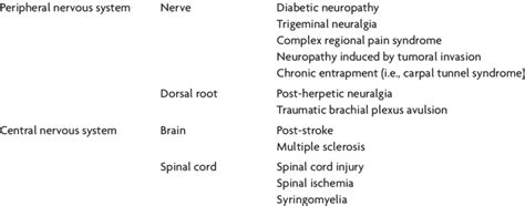 Most Common Causes Of Neuropathic Pain Modified From Bennett 5