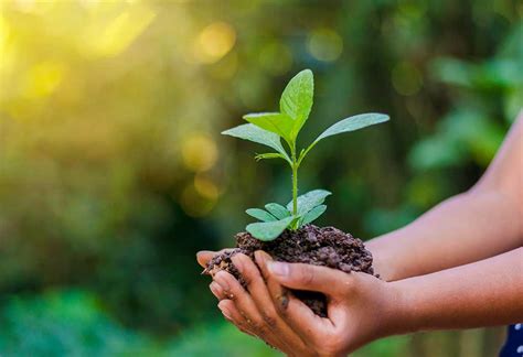 It's world environment day on 5 june, which is a day to raise awareness about climate change across the globe. world environment day interesting facts and activities