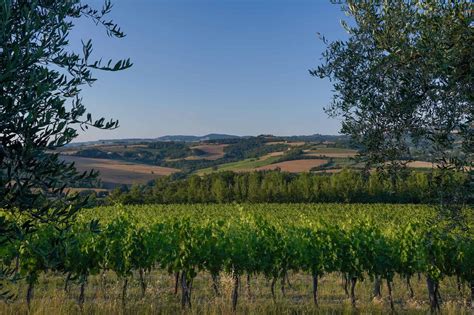 7 wineries in Umbria that are sure to impress - ArtTrav