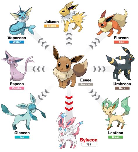 New Eevee Evolution In Pokemon X And Y Fuzzy Today