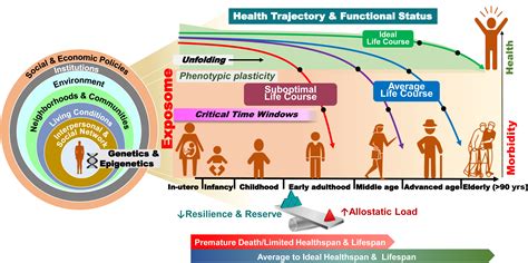Life Course Developmental Approach To Cardiovascular Health And