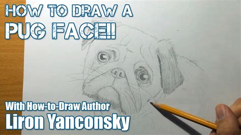 How To Draw A Pug Dog Face Step By Step Youtube