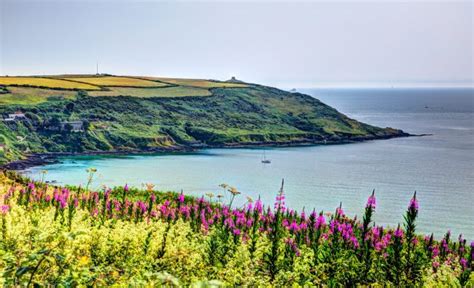 Controversial Bid For A Large House In Rame Head Aonb Is Again