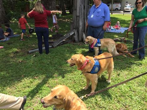 Meet The Amazing Dogs Who Are Comforting People In The Wake Of Tragedy