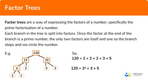 Factor Trees Gcse Maths Steps Examples And Worksheet