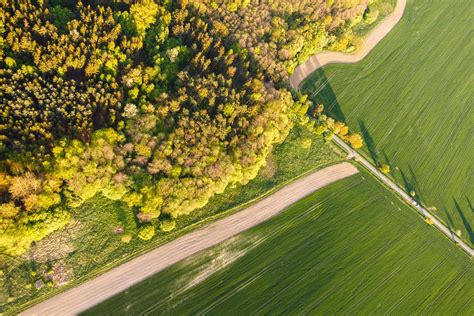 Aerial View Of Trees Free Stock Photo Public Domain Pictures