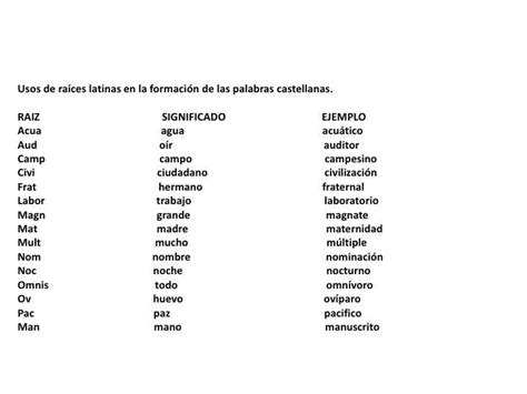 Frases Comunes En Latin