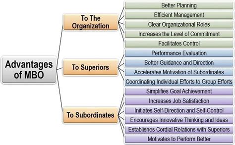 What Is Management By Objectives Mbo Definition Elements