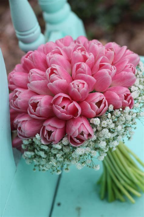 Pink Tulips With A Collar Of Gypsophila Babys Breath Lsl Event