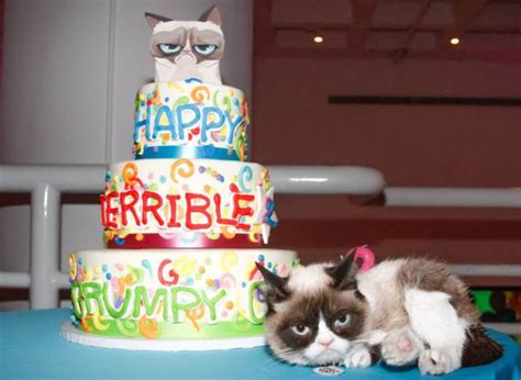 Grumpy Cat Had A Birthday Party Of Course She Wasn T Too Happy About It Her Ie