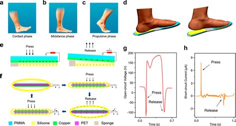 Design Of The Smart Insole According To The Foot Pressure Distribution