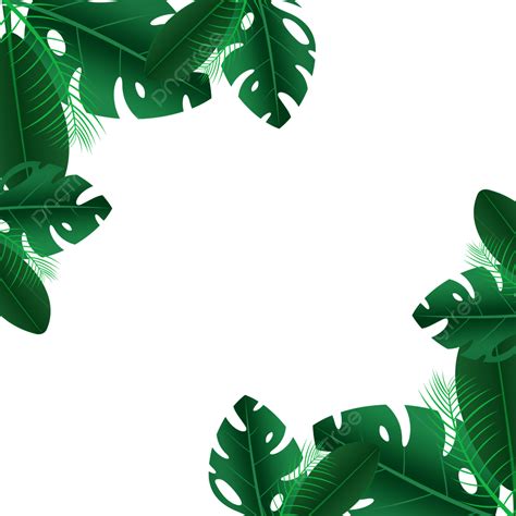 tropical leaves border vector hd png images tropical frame border tropical leaf green leaves