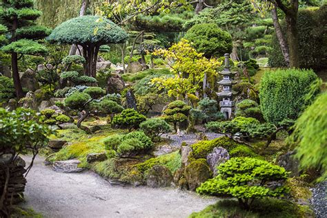 The Japanese Garden Garden Design Sussex