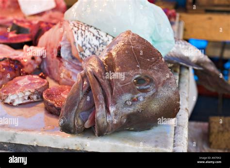 Fish Head The Head Of A Large Fish Grouper Lies On A Fishmonger S