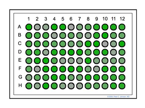 96 Well Plate Template Editable