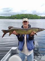 Images of Lake Link Wisconsin Fishing Reports