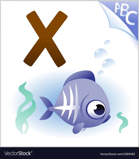 Animal Alphabet For The Kids X For The X Ray Fish Vector Image