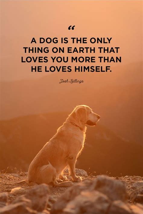 40 Best Dog Quotes Cute Sweet Quotes About Dogs