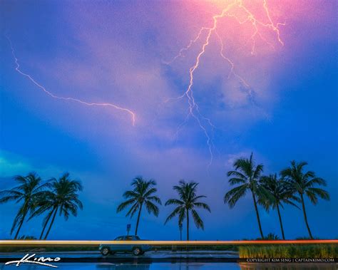 Juno Beach Lightning Coconut Trees On Beach Rd Royal Stock Photo