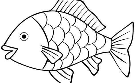 Mewarnai Ikan Mas Pelajari Menggambar Dan Mewarnai Ikan Mas Untuk Anak