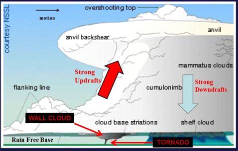 Diagram Fully Developed Cumulonimbus Cloud Showing