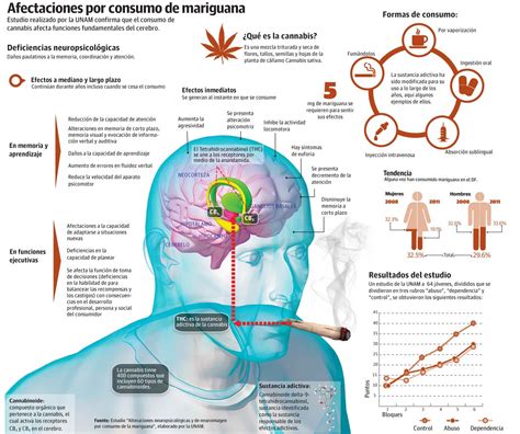 Todo Lo Que Necesitas Saber Sobre La Marihuana ~ Tendencias De Psicología