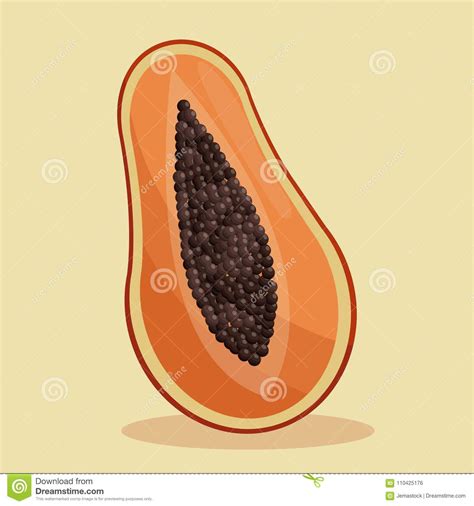 Papaya Nutrition Facts And Health Benefits Infographic Vector