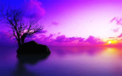 Purple Sunset Wallpapers Wallpaper Cave