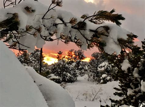 After The Big Snow Storm In Prescott Az 219 ️ Snow Scenes Snow
