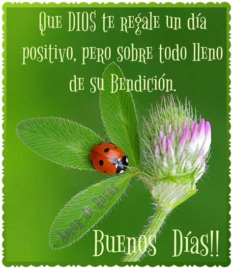 A Ladybug Sitting On Top Of A Flower With The Caption Que Dios Te