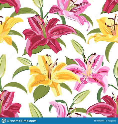 Lily Flower Seamless Pattern On White Background Yellow Red And Pink