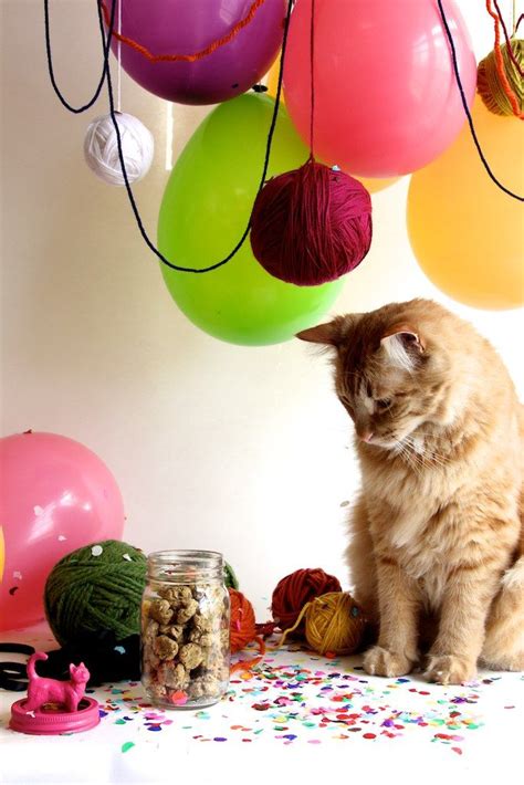 12 Homemade Cat Treats And Toys Your Kitten Will Love Homemade Cat Toys Diy Cat Toys Cat Treats