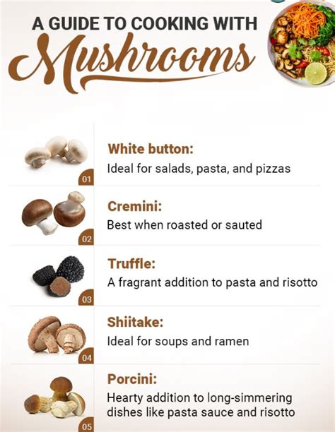 Organic Mushrooms Health Benefits Store Cost Book Tirupati