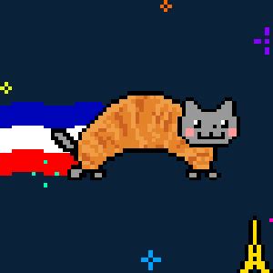 Nyan Cat Find Share On Giphy 13440 Hot Sex Picture