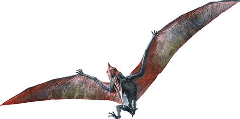 Jurassic World Fallen Kingdom Pteranodon By Sonichedgehog2 On Deviantart Dinosaur Life