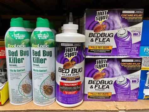 Can Bug Bombs Kill Bed Bugs Bed Bug Bite