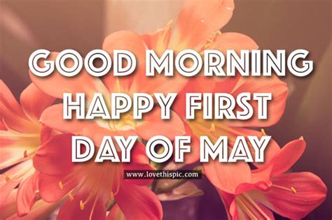 Labour day—may 1st, 2021 history traditions marketing activities trending hashtags and templates ⏩ crello marketing calendar 2021. Good Morning, Happy First Day Of May Pictures, Photos, and Images for Facebook, Tumblr ...