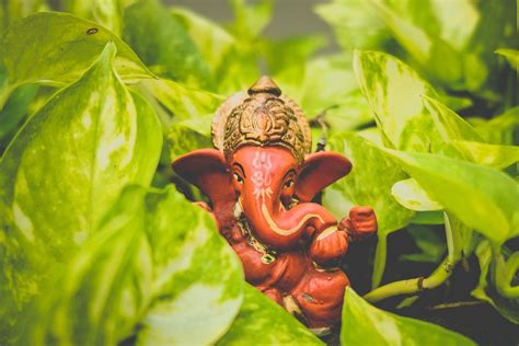 How To Worship Lord Ganesha As Per Zodiac Signs 5 Ways To Please
