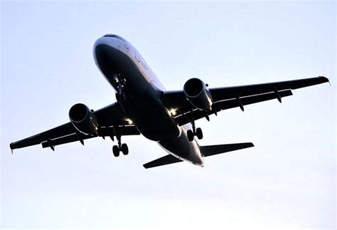 Check spelling or type a new query. Health Declaration Form Jetblue - HAELTHO