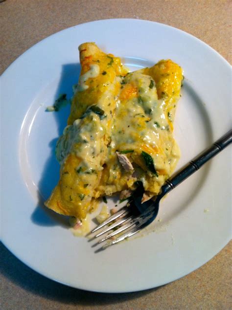 It's sure to be a family favorite. Trial and Error: White Chicken Enchiladas with Green Chili ...