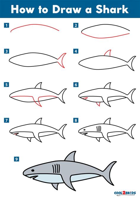 How To Draw A Shark Step By Step At How To Draw