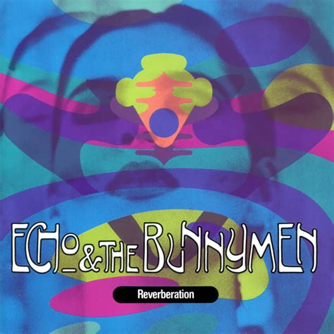 Flowering Toilet Echo And The Bunnymen Reverberation