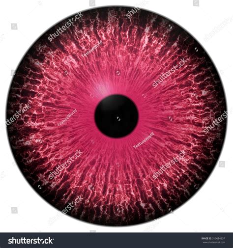 Eye Iris Generated Realistic Color Stock Illustration 319684337