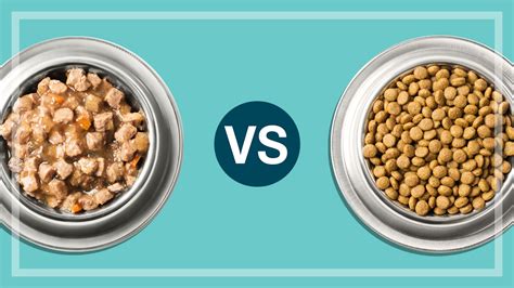 Dry food may contain too. Which is the best dog food or cat food - wet or dry? | CHOICE